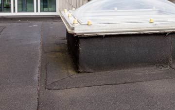 disadvantages of Dogingtree Estate flat roofs