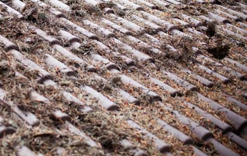 Dogingtree Estate roof cleaning companies